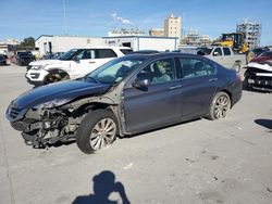 Honda salvage cars for sale: 2013 Honda Accord EXL