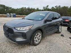 Ford Escape act salvage cars for sale: 2024 Ford Escape Active