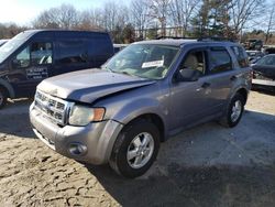 Ford Escape salvage cars for sale: 2008 Ford Escape XLT