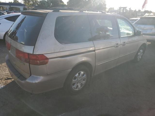 2002 Honda Odyssey EXL