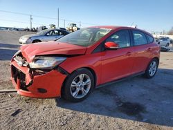 Ford Focus salvage cars for sale: 2013 Ford Focus SE