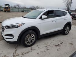 Hyundai salvage cars for sale: 2017 Hyundai Tucson SE