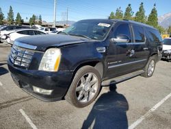 Cadillac Escalade salvage cars for sale: 2007 Cadillac Escalade ESV