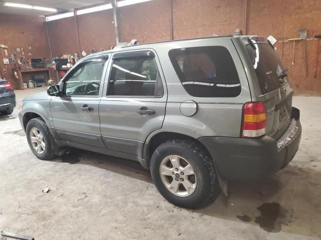 2006 Ford Escape XLT