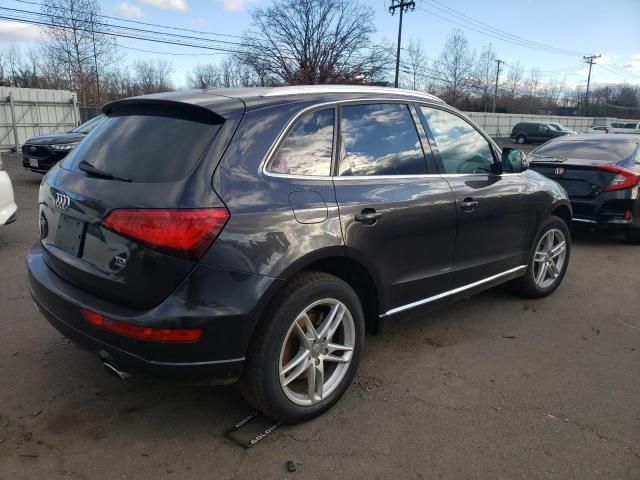 2014 Audi Q5 TDI Premium Plus