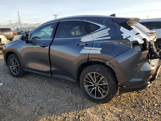 2024 Lexus NX 350H Base