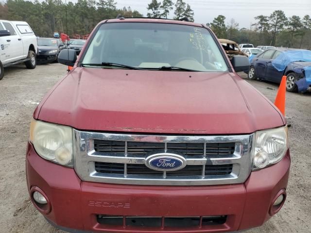 2010 Ford Escape XLT