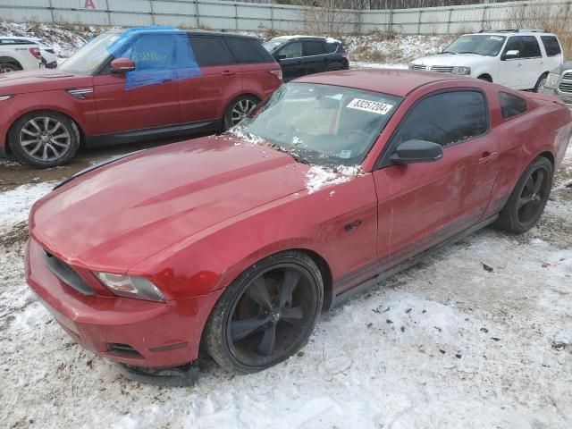 2010 Ford Mustang