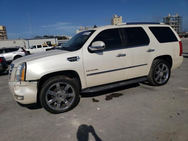 2011 Cadillac Escalade Luxury