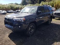 Toyota 4runner salvage cars for sale: 2024 Toyota 4runner SR5 Premium