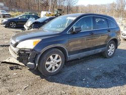 Honda crv salvage cars for sale: 2007 Honda CR-V EX