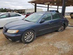 Hyundai Azera salvage cars for sale: 2006 Hyundai Azera SE