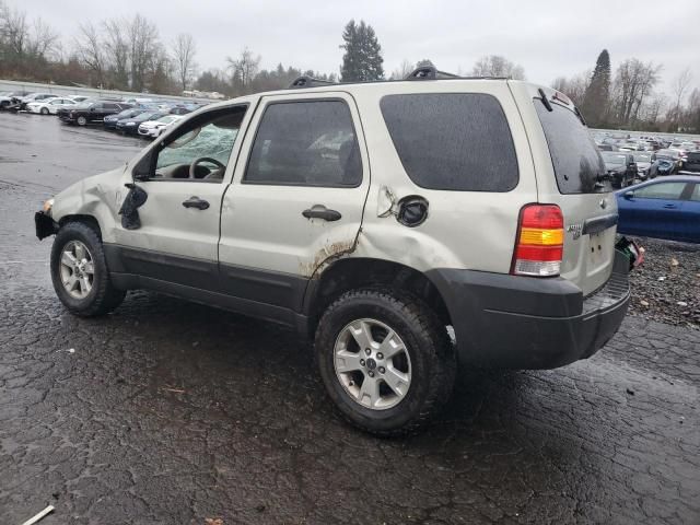 2005 Ford Escape XLT