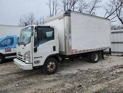 Isuzu salvage cars for sale: 2019 Isuzu NPR