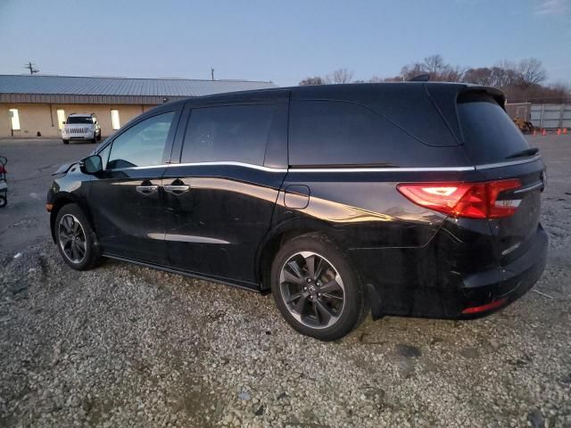 2023 Honda Odyssey Elite