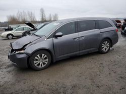 Honda Vehiculos salvage en venta: 2014 Honda Odyssey EXL