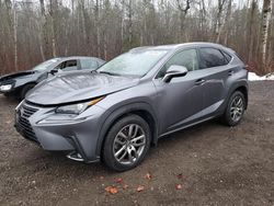 Lexus salvage cars for sale: 2021 Lexus NX 300 Base