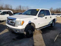 Ford f-150 salvage cars for sale: 2014 Ford F150 Supercrew