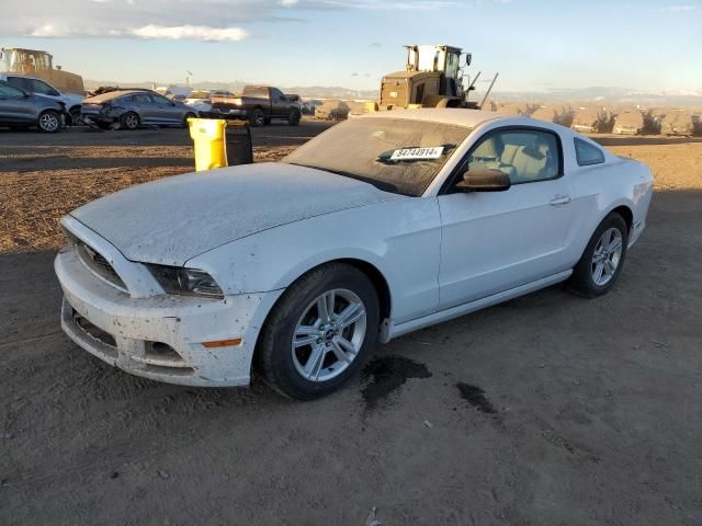 2014 Ford Mustang