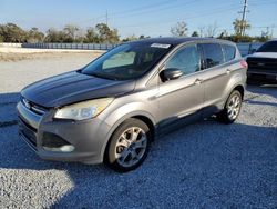 Ford Escape salvage cars for sale: 2013 Ford Escape SEL