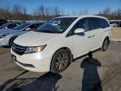 Honda Odyssey se Vehiculos salvage en venta: 2016 Honda Odyssey SE