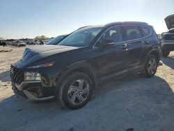 2023 Hyundai Santa FE SEL en venta en Haslet, TX