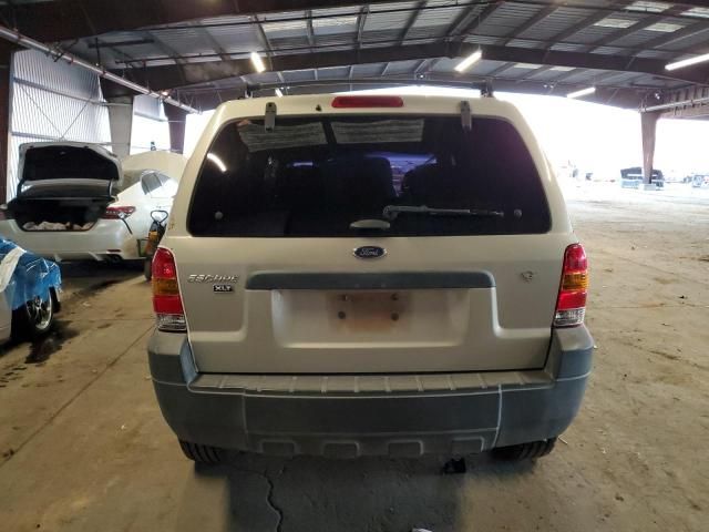 2005 Ford Escape XLT