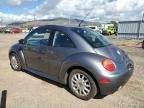 2005 Volkswagen New Beetle GLS