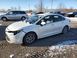 Toyota Corolla salvage cars for sale: 2020 Toyota Corolla LE