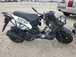 2016 Genuine Scooter Co. Roughhouse 50 for sale in Haslet, TX