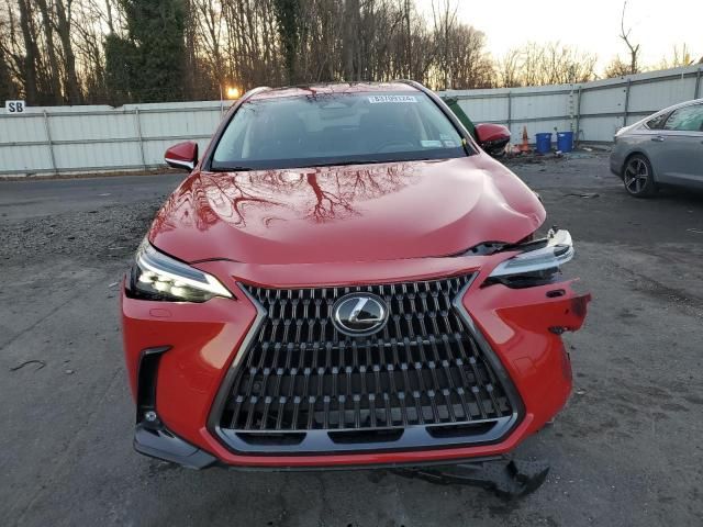 2024 Lexus NX 350 Luxury