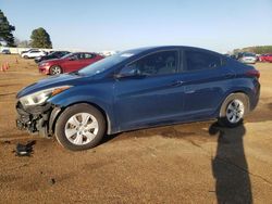 Hyundai Elantra salvage cars for sale: 2016 Hyundai Elantra SE