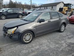 Ford Focus salvage cars for sale: 2009 Ford Focus SE