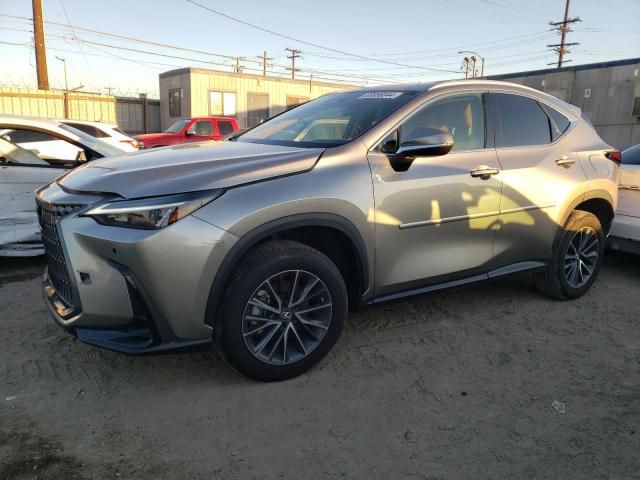 2023 Lexus NX 250