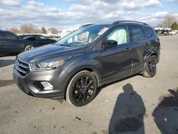 Ford Escape salvage cars for sale: 2019 Ford Escape SE