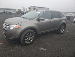 Ford salvage cars for sale: 2014 Ford Edge Limited