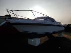 1987 Skipjack Boat