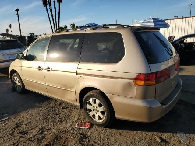 2002 Honda Odyssey EXL