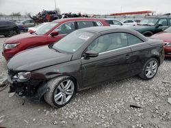 Volkswagen eos salvage cars for sale: 2015 Volkswagen EOS LUX