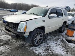 Cadillac Escalade salvage cars for sale: 2014 Cadillac Escalade Luxury