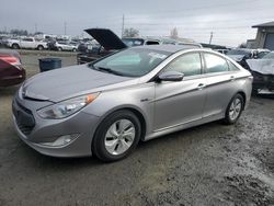 Hyundai Sonata salvage cars for sale: 2013 Hyundai Sonata Hybrid