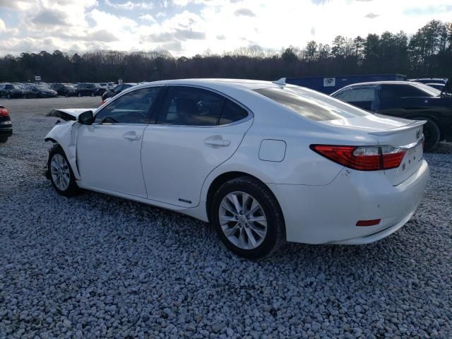 2014 Lexus ES 300H