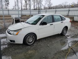 Ford Focus salvage cars for sale: 2011 Ford Focus SE