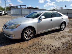 Lexus Vehiculos salvage en venta: 2010 Lexus ES 350