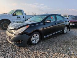 Hyundai Sonata salvage cars for sale: 2013 Hyundai Sonata Hybrid