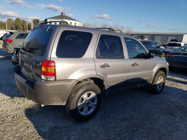 2007 Ford Escape XLT