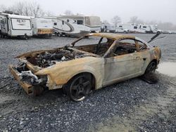 Ford salvage cars for sale: 2004 Ford Mustang Cobra SVT