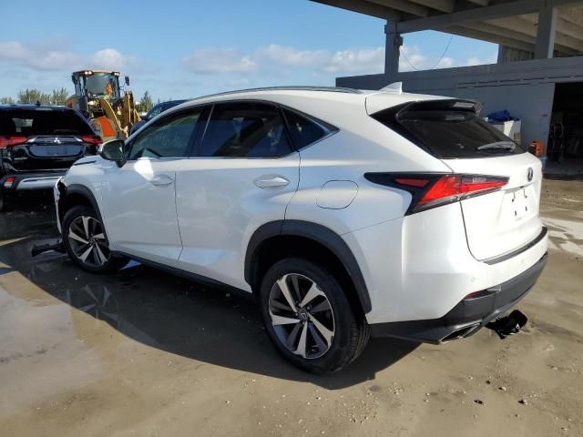 2019 Lexus NX 300 Base