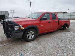 Dodge Vehiculos salvage en venta: 2010 Dodge RAM 1500