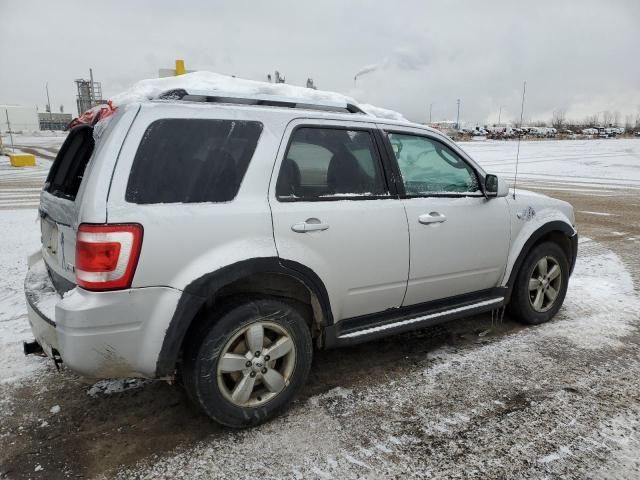 2010 Ford Escape Limited